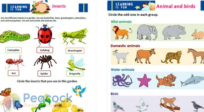 Elearning Illustration Design