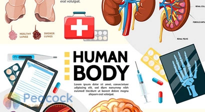 Medical Book Illustration Design