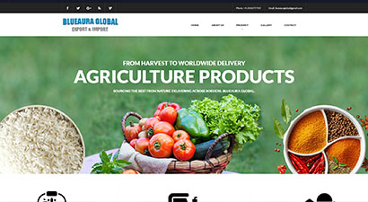 Blue Aura Global