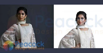 Peacock Design Solutions branding logo for web and mobile services