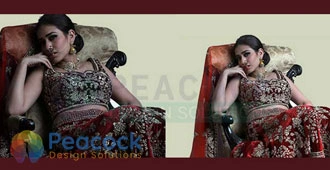 Peacock Design Solutions branding logo for web and mobile services