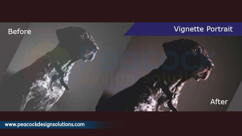 Vignette portrait services